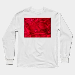 Red onion skin with oxalate crystals under the microscope Long Sleeve T-Shirt